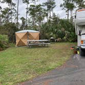 Review photo of Long Pine Key Campground — Everglades National Park by Roger W., January 20, 2024