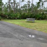 Review photo of Long Pine Key Campground — Everglades National Park by Roger W., January 20, 2024