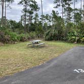 Review photo of Long Pine Key Campground — Everglades National Park by Roger W., January 20, 2024