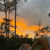 Review photo of Long Pine Key Campground — Everglades National Park by Sabrina N., June 15, 2026