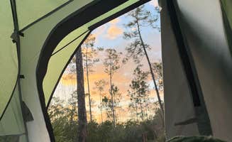 ana S.'s photo at Long Pine Key Campground — Everglades National Park near North Miami, FL