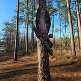 Review photo of Falling Waters State Park Campground by Trish T., February 22, 2026