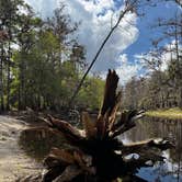 Review photo of Fisheating Creek Campground by Andrea E., February 23, 2026