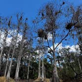 Review photo of Fisheating Creek Campground by Andrea E., February 23, 2026