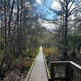 Review photo of Fisheating Creek Campground by tim B., January 29, 2026