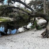 Review photo of Fisheating Creek Campground by tim B., January 29, 2026