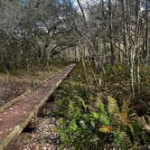 Review photo of Fisheating Creek Campground by tim B., January 29, 2026