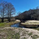 Review photo of Fisheating Creek Campground by tim B., January 29, 2026