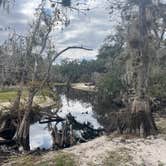 Review photo of Fisheating Creek Campground by tim B., January 29, 2026