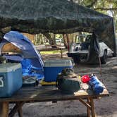 Review photo of Fisheating Creek Campground by Patrick B., August 30, 2024