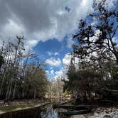 Review photo of Fisheating Creek Campground by Andrea E., February 23, 2026