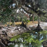 Review photo of Fisheating Creek Campground by tim B., January 29, 2026