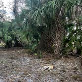 Review photo of Fisheating Creek Campground by tim B., January 29, 2026