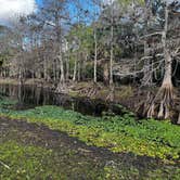 Review photo of Fisheating Creek Campground by tim B., January 29, 2026