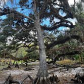 Review photo of Fisheating Creek Campground by tim B., January 29, 2026