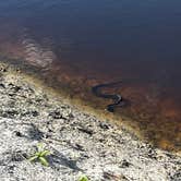 Review photo of Fisheating Creek Campground by tim B., January 29, 2026