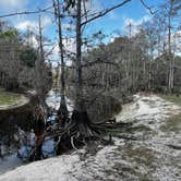 Review photo of Fisheating Creek Campground by tim B., January 29, 2026