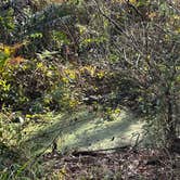 Review photo of Fisheating Creek Campground by tim B., January 29, 2026