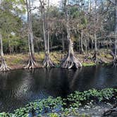 Review photo of Fisheating Creek Campground by tim B., January 29, 2026