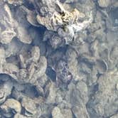 Review photo of Fort De Soto Campground by Laura H., June 16, 2026