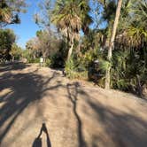 Review photo of Fort De Soto Campground by Adam and Suzanne B., January 2, 2026