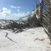 Review photo of Fort De Soto Campground by Lexi W., February 8, 2024