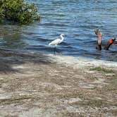 Review photo of Fort De Soto Campground by Laura H., June 16, 2026