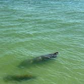 Review photo of Fort De Soto Campground by Laura H., June 16, 2026