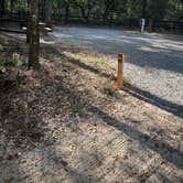 Review photo of Fred Gannon Rocky Bayou State Park Campground by abigail A., November 29, 2025