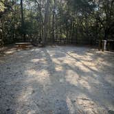Review photo of Fred Gannon Rocky Bayou State Park Campground by abigail A., November 29, 2025
