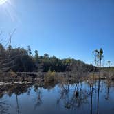 Review photo of Fred Gannon Rocky Bayou State Park Campground by Trish T., February 8, 2026
