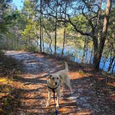 Review photo of Fred Gannon Rocky Bayou State Park Campground by Trish T., February 8, 2026
