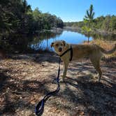 Review photo of Fred Gannon Rocky Bayou State Park Campground by Trish T., February 8, 2026