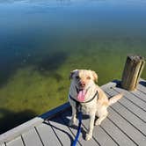Review photo of Fred Gannon Rocky Bayou State Park Campground by Trish T., February 8, 2026