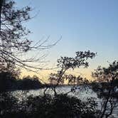 Review photo of Fred Gannon Rocky Bayou State Park Campground by Trish T., February 8, 2026