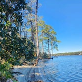 Review photo of Fred Gannon Rocky Bayou State Park Campground by Peaches E., January 5, 2024