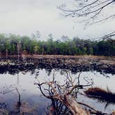 Review photo of Fred Gannon Rocky Bayou State Park by Peaches E., January 5, 2024