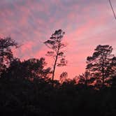 Review photo of Fred Gannon Rocky Bayou State Park Campground by Trish T., February 8, 2026