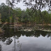 Review photo of Fred Gannon Rocky Bayou State Park Campground by Peaches E., January 5, 2024