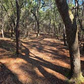 Review photo of Fred Gannon Rocky Bayou State Park Campground by Trish T., February 8, 2026