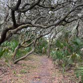 Review photo of Riverside Camping — Gamble Rogers Memorial State Recreation Area at Flagler Beach by Kevin H., December 16, 2023