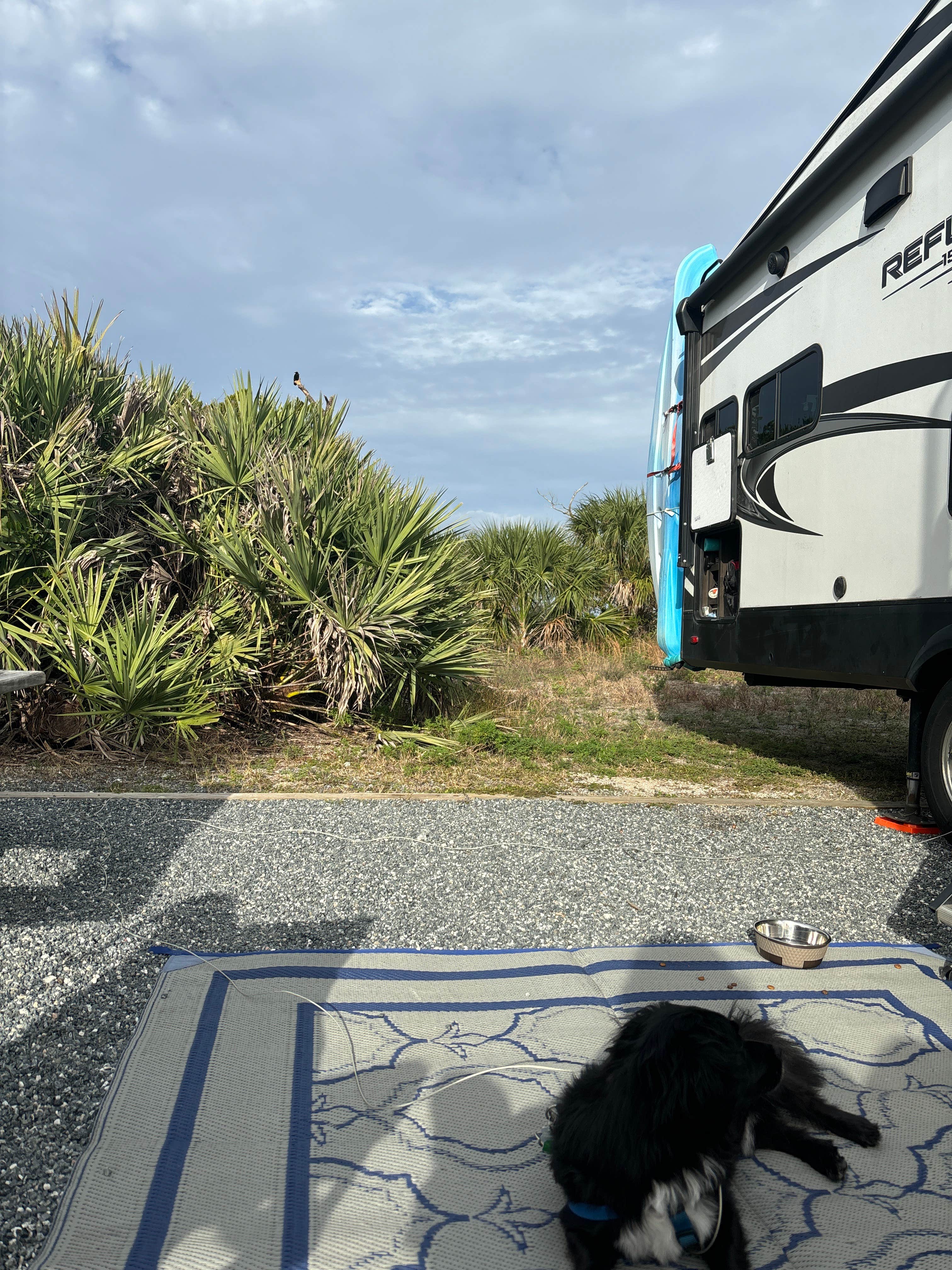 Kevin H.'s photo of camping with pets at Riverside Camping — Gamble Rogers Memorial State Recreation Area at Flagler Beach near Ormond Beach, FL