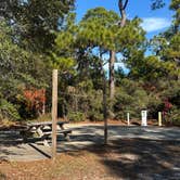 Review photo of Grayton Beach State Park Campground by James M., January 7, 2025