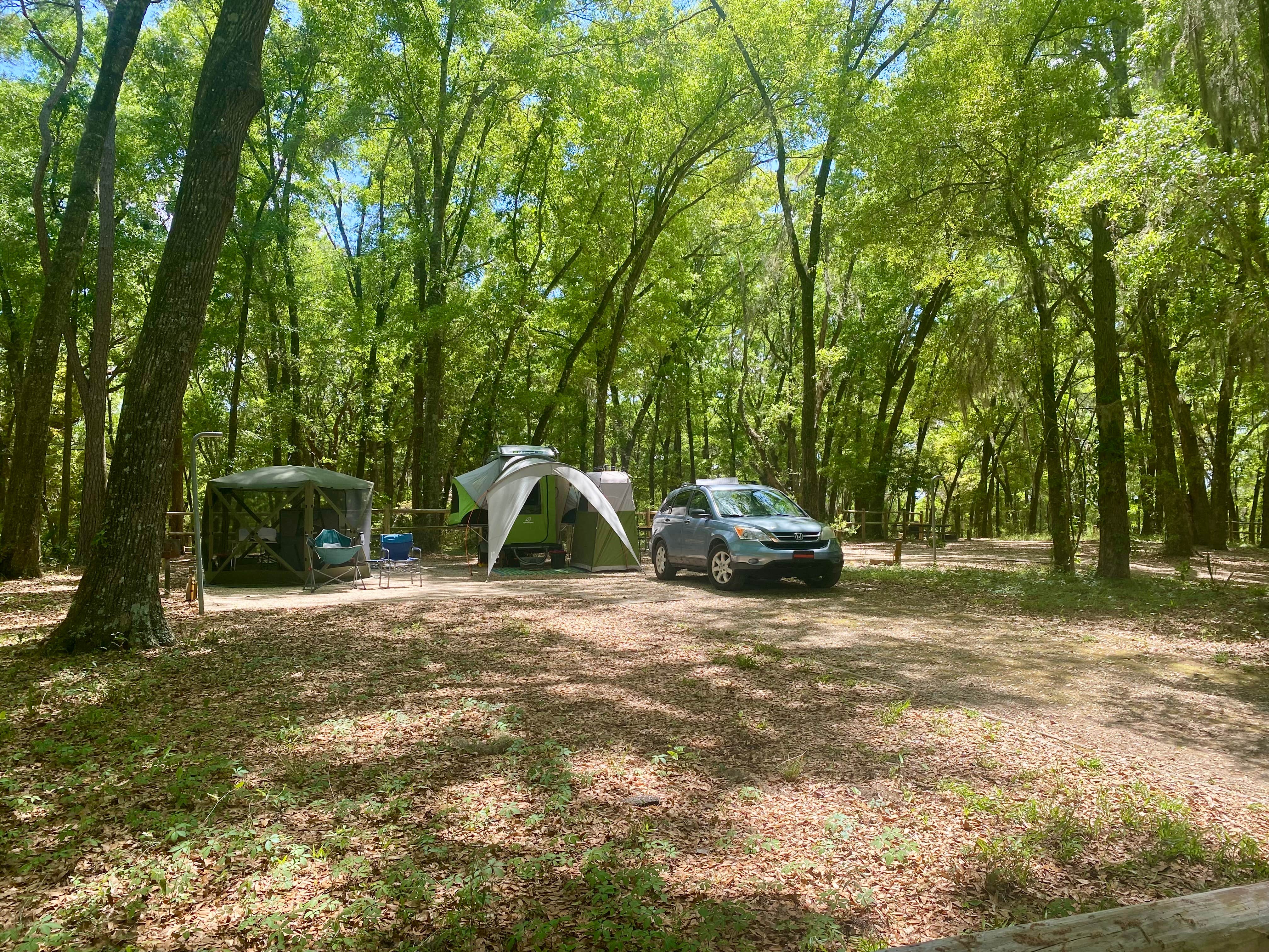 Marianne D.'s photo at Hall Landing Campground near Chattahoochee, FL