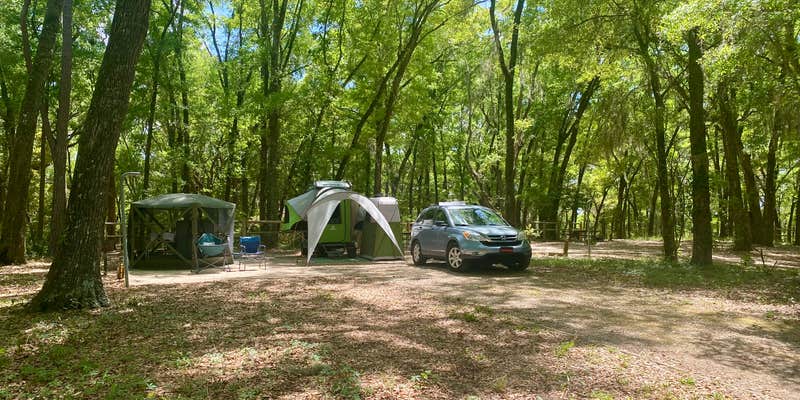 Camper submitted image from Hall Landing Campground