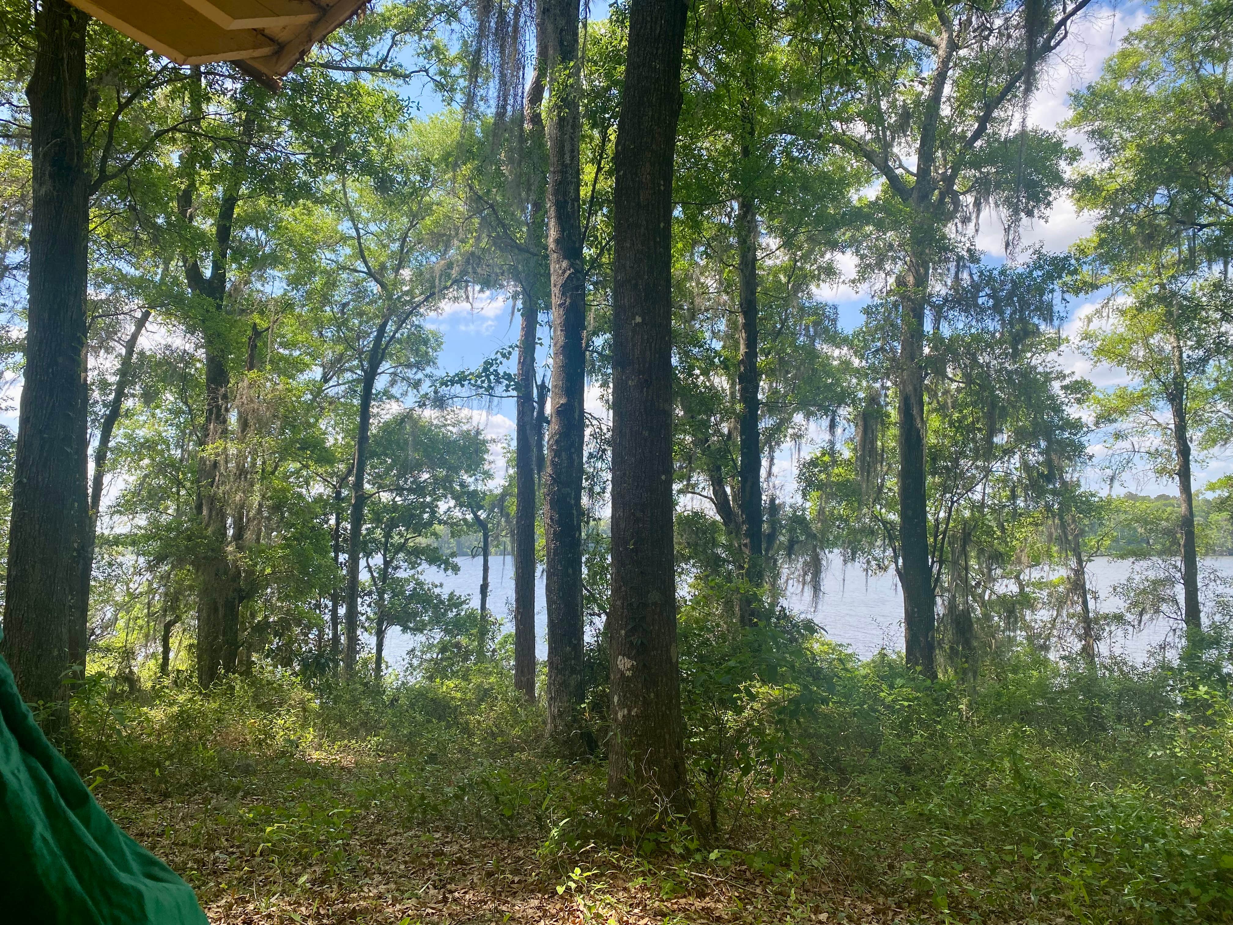 Camper-submitted photo at Hall Landing Campground near Marianna, FL