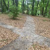 Review photo of Hall Landing Campground by Marianne D., April 10, 2026