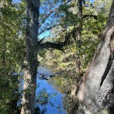 Review photo of Hillsborough River State Park Campground by Lauren W., October 27, 2023