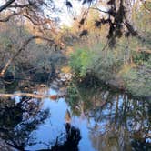 Review photo of Hillsborough River State Park Campground by Kathy L., February 15, 2024