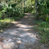Review photo of Hillsborough River State Park Campground by Lauren W., October 27, 2023